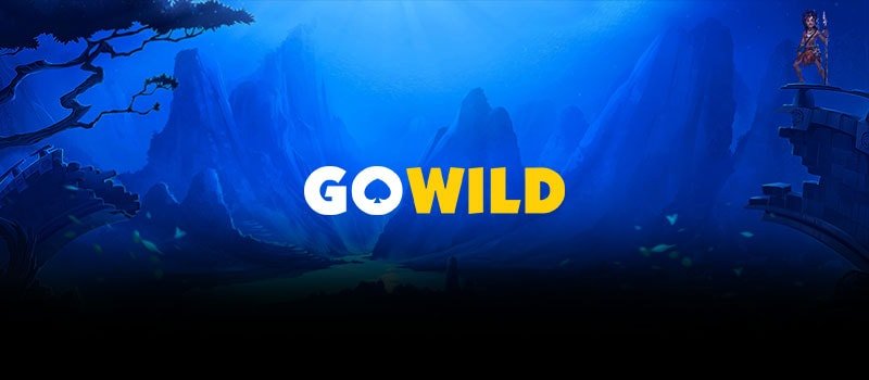 Go Wild Casino